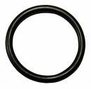 O-Ring for Sunlight Systems SL160